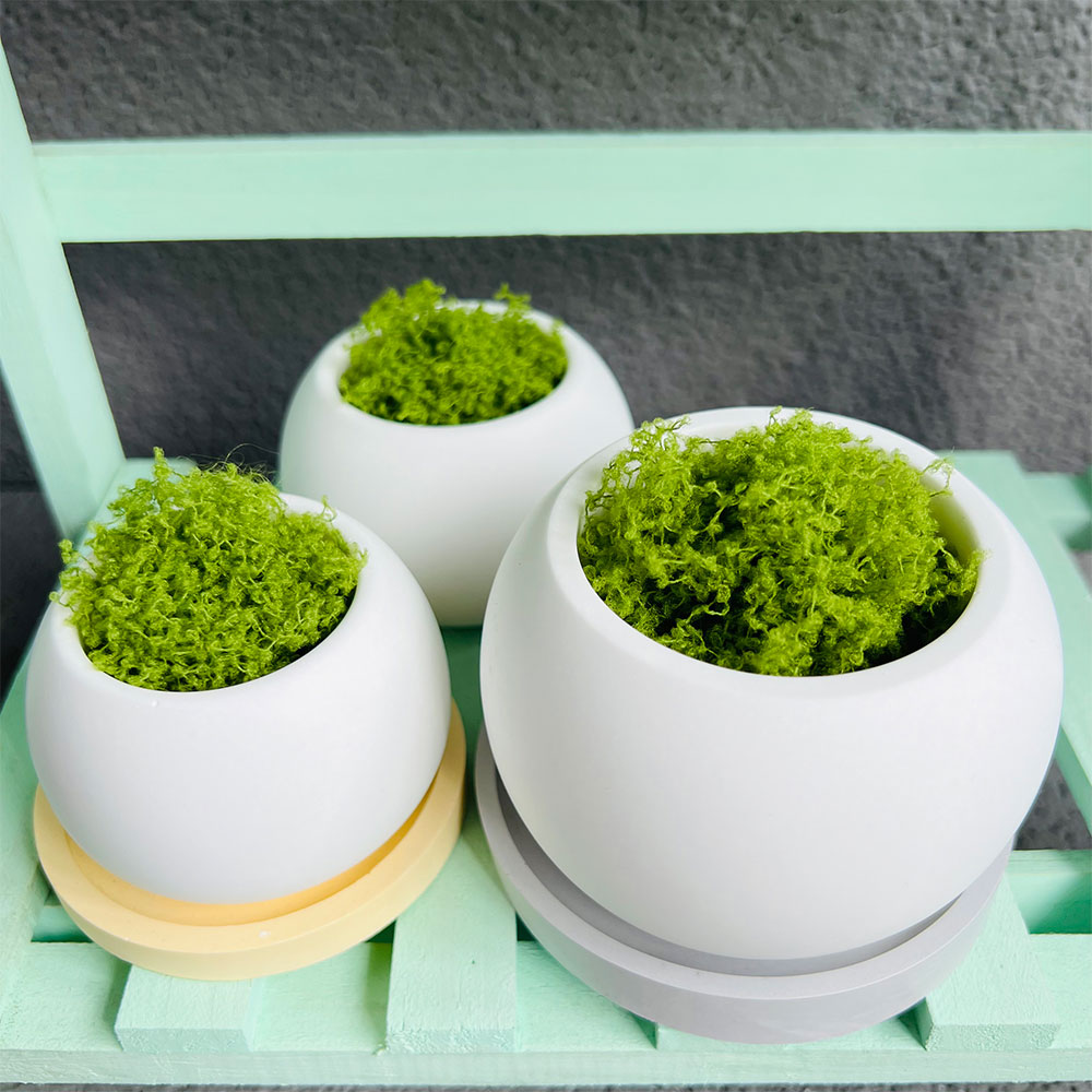 Pot de fleurs sphérique en Sil - Potsticker Mold avis et prix