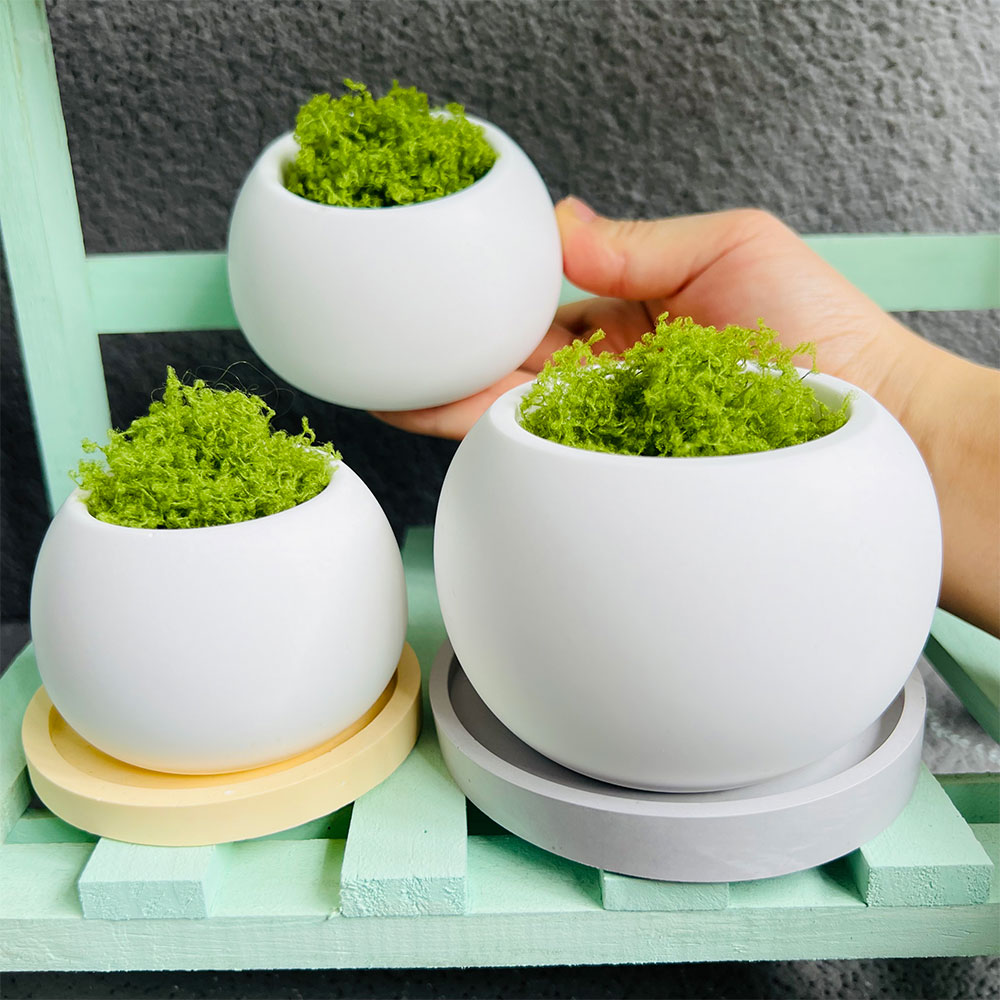 Pot de fleurs sphérique en Sil - Potsticker Mold avis et prix